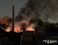 기사이미지
