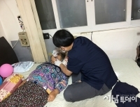 기사이미지