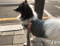 기사이미지
