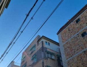 기사이미지